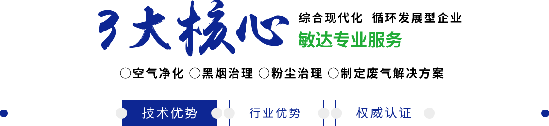 爆肏老女人敏达环保科技（嘉兴）有限公司